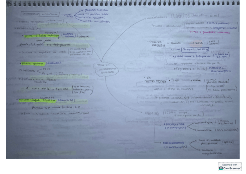 Miniatura del documento T14-bioq-clinica.pdf