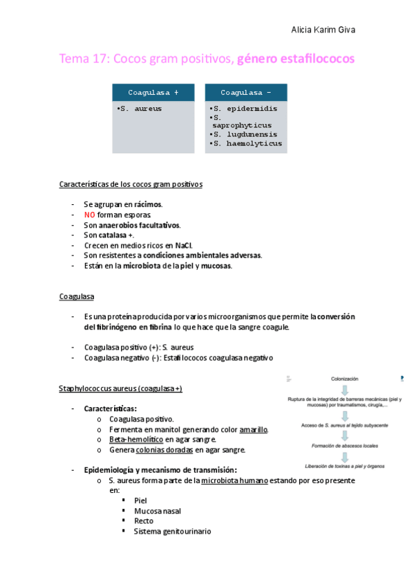 Miniatura del documento Tema-17.pdf
