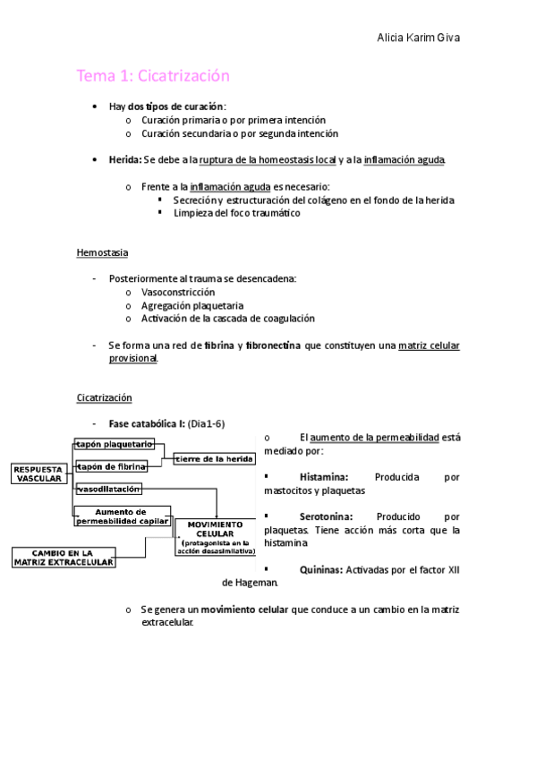 Miniatura del documento Tema-1.pdf