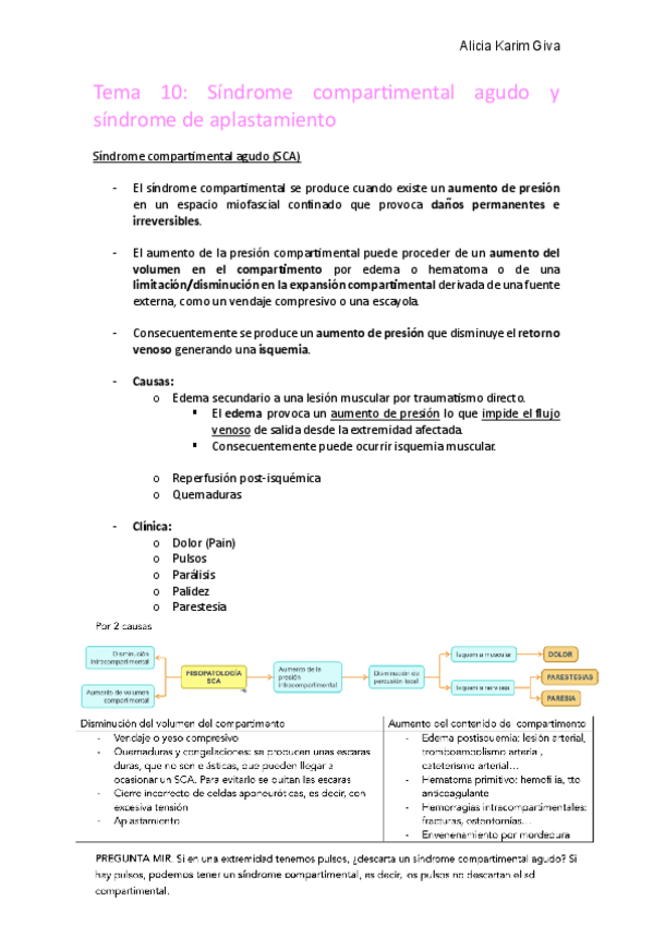 Miniatura del documento Tema-10.pdf