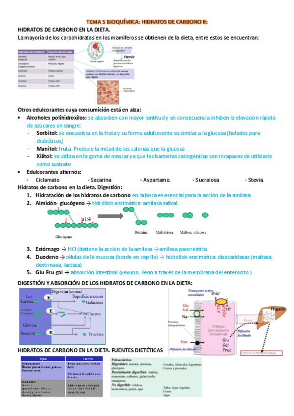 Miniatura del documento TEMA-5-RESUMEN.pdf