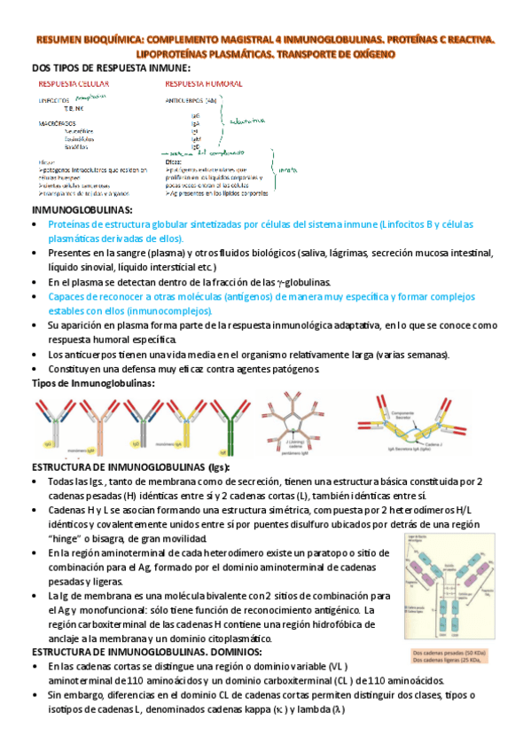 Miniatura del documento resumen-CM-4-bioquimica.pdf