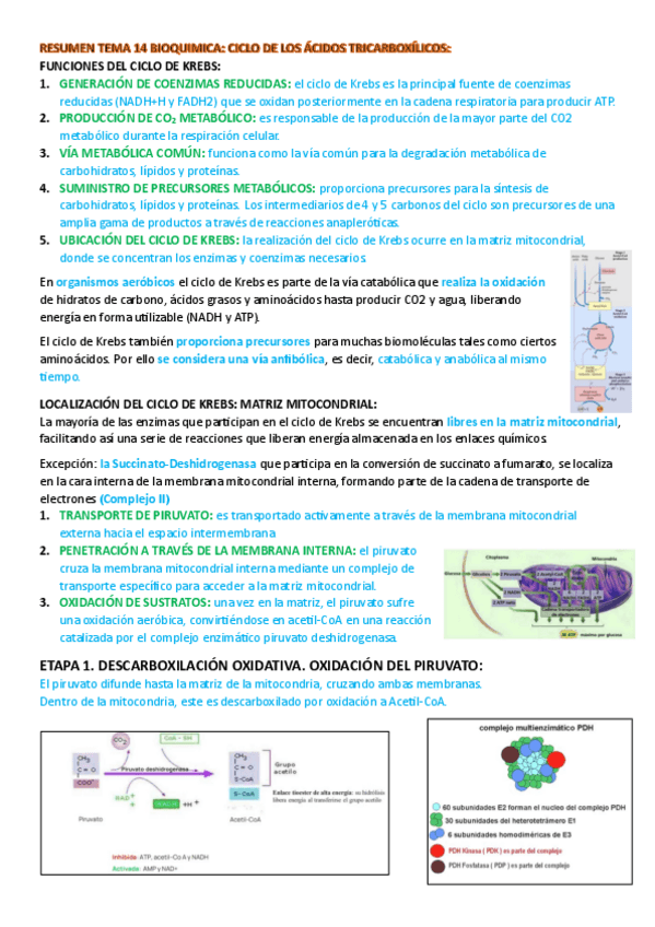 Miniatura del documento resumen-tema-14-bioquimica.pdf