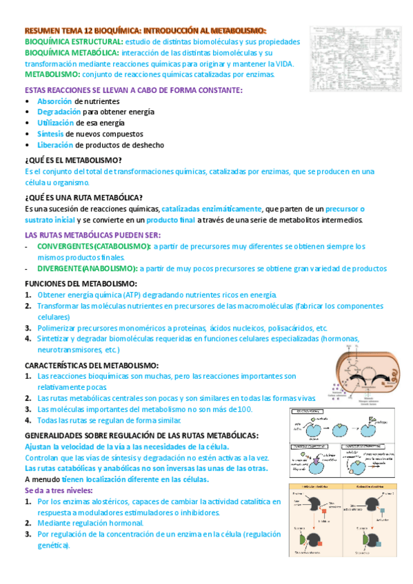 Miniatura del documento resumen-tema-12-bioquimica.pdf