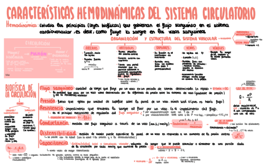 Miniatura del documento Hemodinamica.pdf