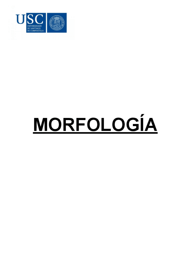 Miniatura del documento MORFOLOGIA.pdf