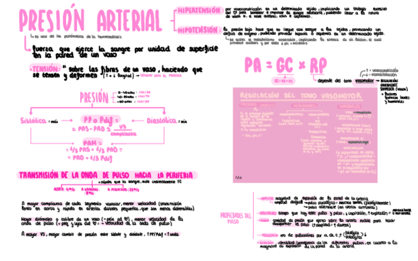 Miniatura del documento Presion-arterial.pdf