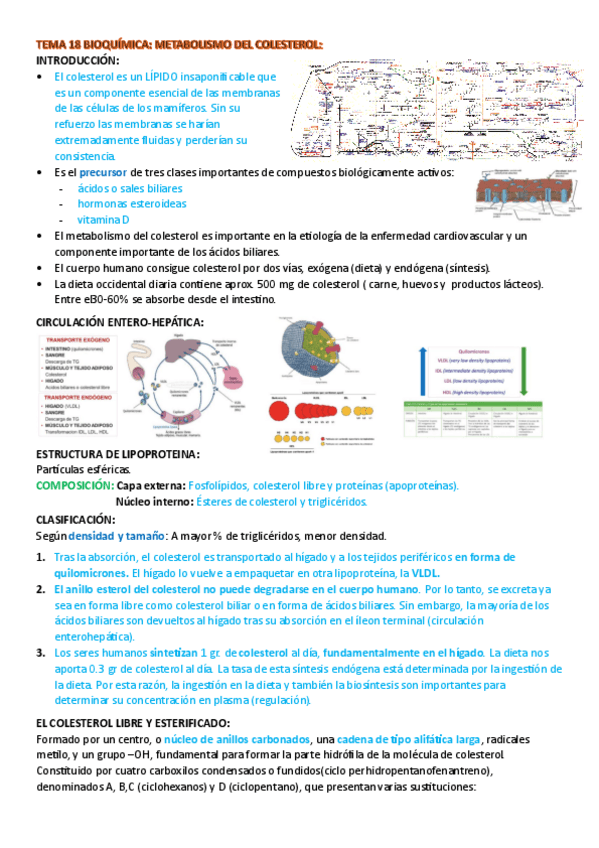 Miniatura del documento resumen-tema-18-bioquimica.pdf