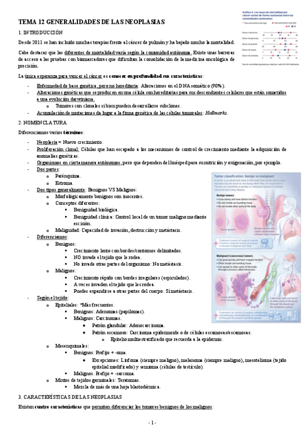 Miniatura del documento ANATOMIA-PATOLOGICA-TEMA-12-GENERALIDADES-DE-LAS-NEOPLASIAS.pdf