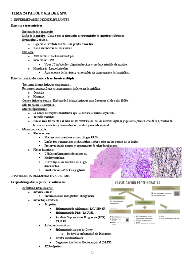 Miniatura del documento ANATOMIA-PATOLOGICA-TEMA-24-PATOLOGIA-DEL-SNC.pdf
