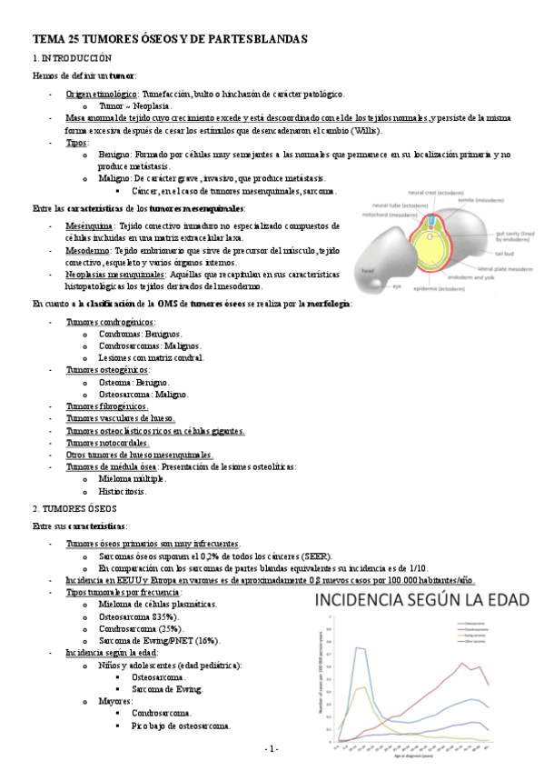 Miniatura del documento ANATOMIA-PATOLOGICA-TEMA-25-TUMORES-OSEOS-Y-DE-PARTES-BLANDAS.pdf