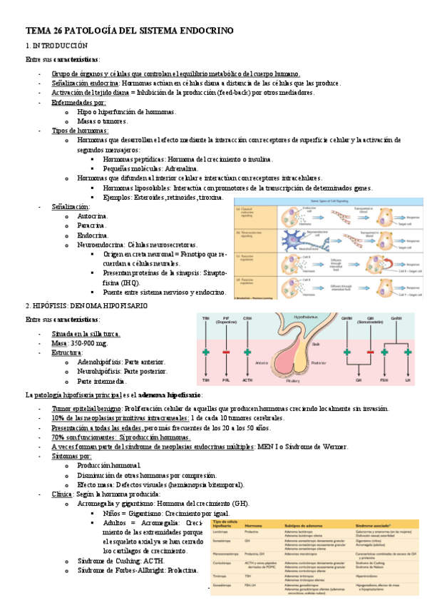 Miniatura del documento ANATOMIA-PATOLOGICA-TEMA-26-PATOLOGIA-DEL-SISTEMA-ENDOCRINO.pdf