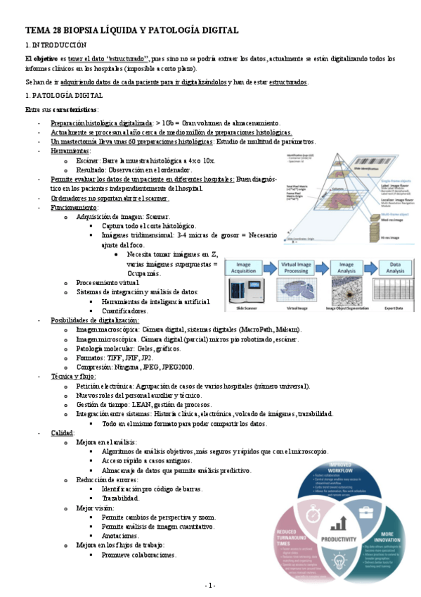 Miniatura del documento ANATOMIA-PATOLOGICA-TEMA-28-BIOPSIA-LIQUIDA-Y-PATOLOGIA-DIGITAL.pdf