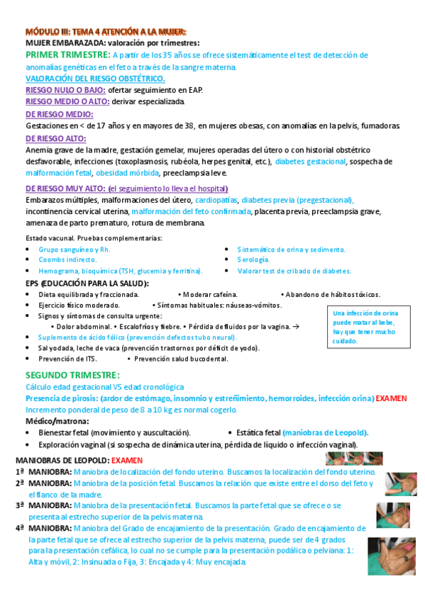 Miniatura del documento resumen-tema-4-comunitaria.pdf