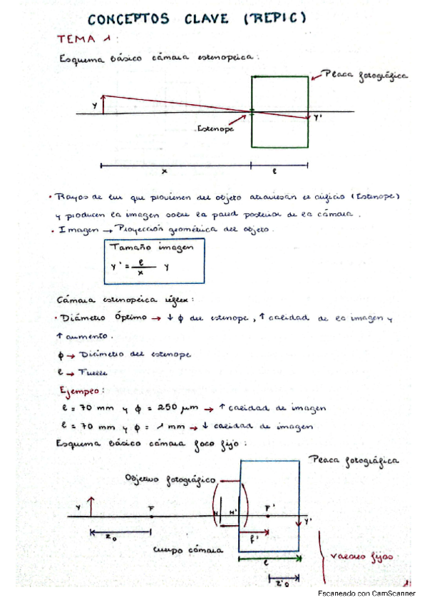 Miniatura del documento Apuntes-T1-T6-Repic.pdf