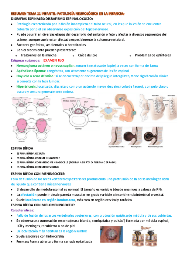 Miniatura del documento Resumen-Infantil-Tema-11-Patologia-neurologica-en-la-infancia.pdf