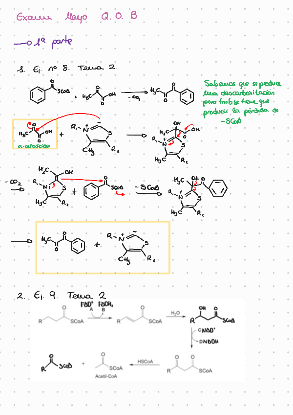 Miniatura del documento Examen-qob-mayo-2025250613163550.pdf