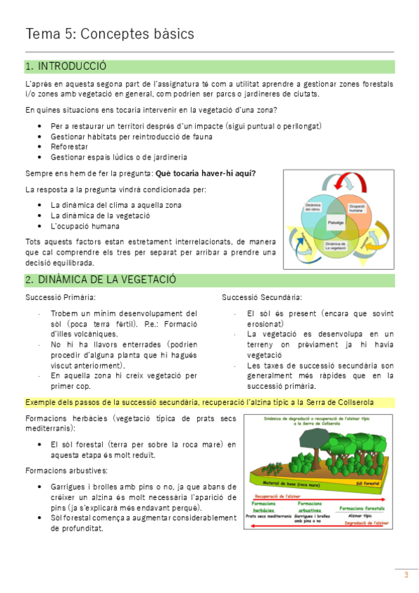 Miniatura del documento 2on-parcial-ACV-capitol-5.pdf