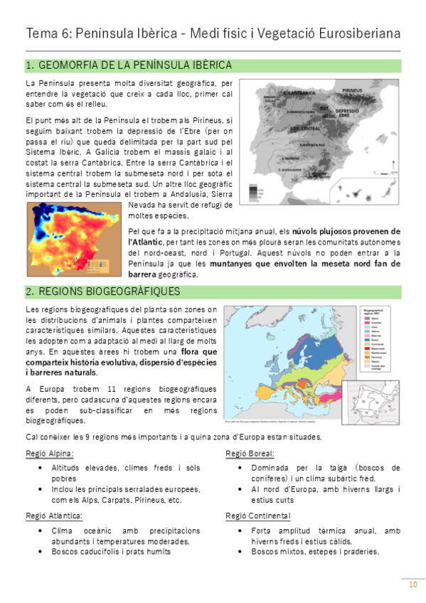Miniatura del documento 2on-parcial-ACV-capitol-6.pdf