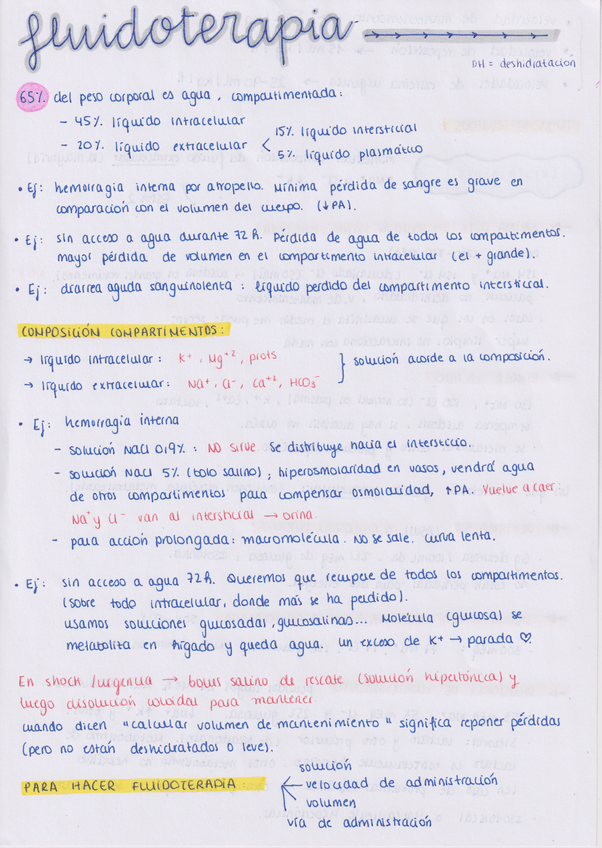 Miniatura del documento FLUIDOTERAPIA-RESUMENCITO.pdf