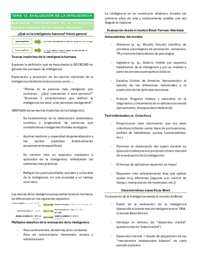 Miniatura del documento TEMA-13.pdf