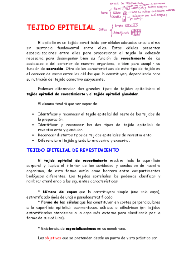 Miniatura del documento Practica-tejido-epitelial.pdf