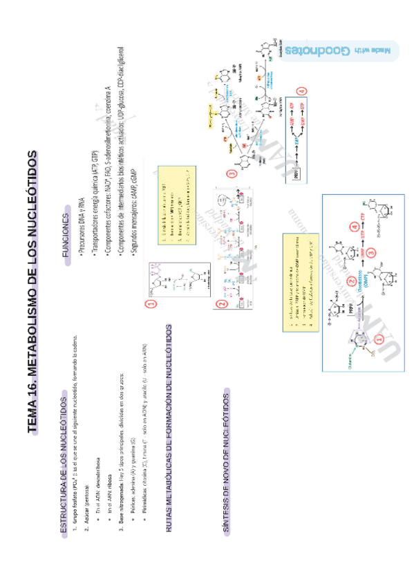 Miniatura del documento METB.-T16.-ESQUEMA.pdf