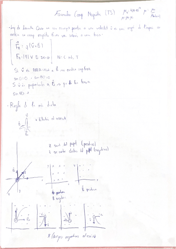 Miniatura del documento Formulari-Camp-Magnetic.pdf