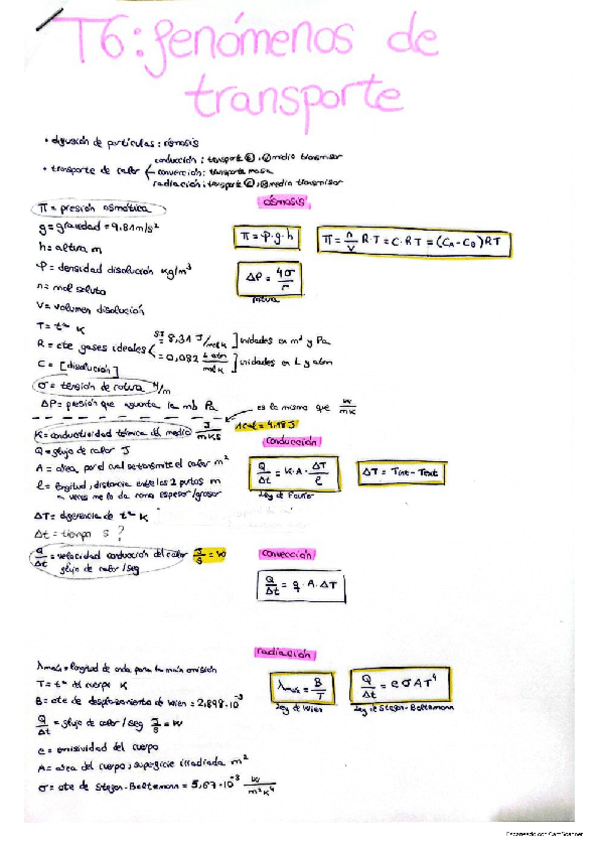 Miniatura del documento t6-apuntes.pdf