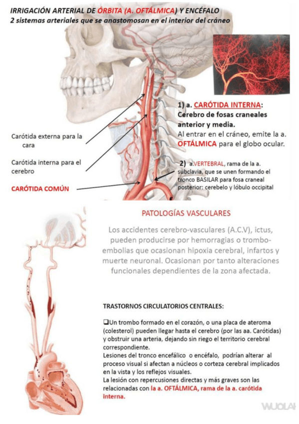 Miniatura del documento TEMA21.pdf