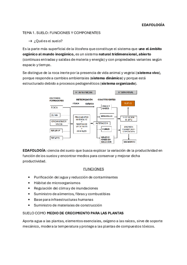 Miniatura del documento T1.-SUELO-FUNCIONES-Y-COMPONENTES.pdf