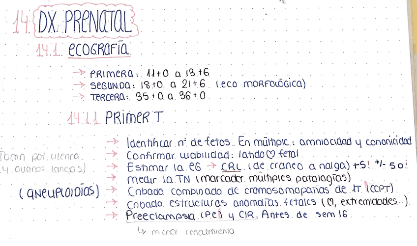 Miniatura del documento DIAGNOSTICO-PRENATAL.pdf