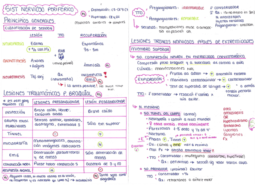 Miniatura del documento SISTEMA-NERVISOSO-PERIFERICO.pdf