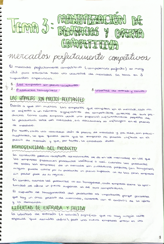 Miniatura del documento Tema-3-microeconomia.pdf