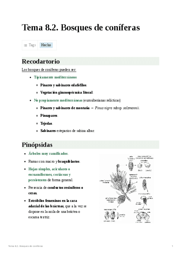 Miniatura del documento Tema 8.2. Bosques de coníferas.pdf