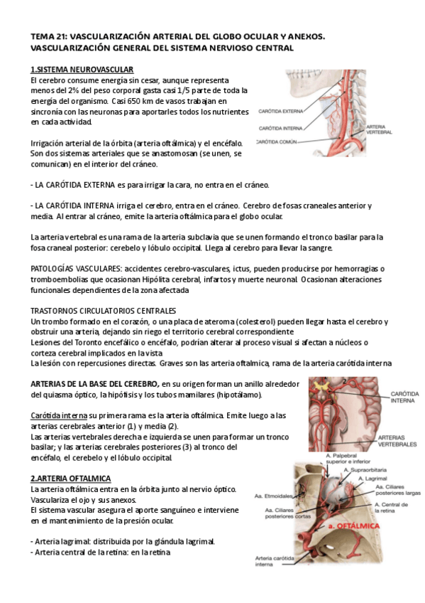 Miniatura del documento tema-21.-anatomia.pdf