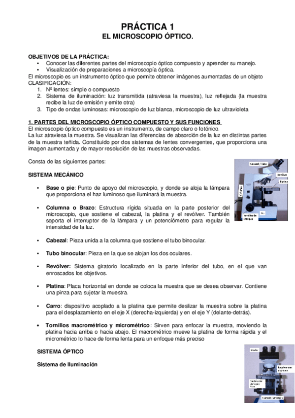 Miniatura del documento Copia-de-Guion-Practica-1-Cito-Histo-22-23.docx