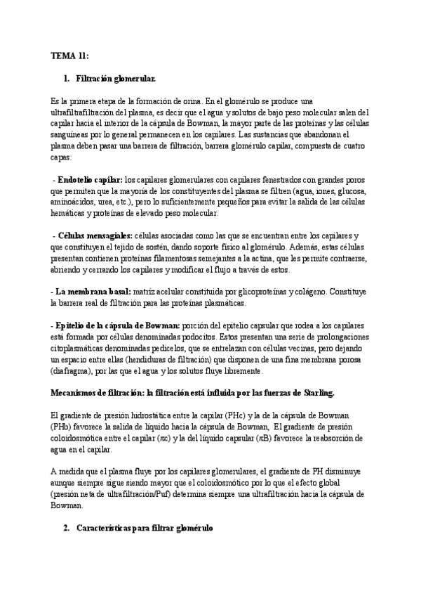 Miniatura del documento TODAS-PREGUNTAS-TEORICAS.pdf