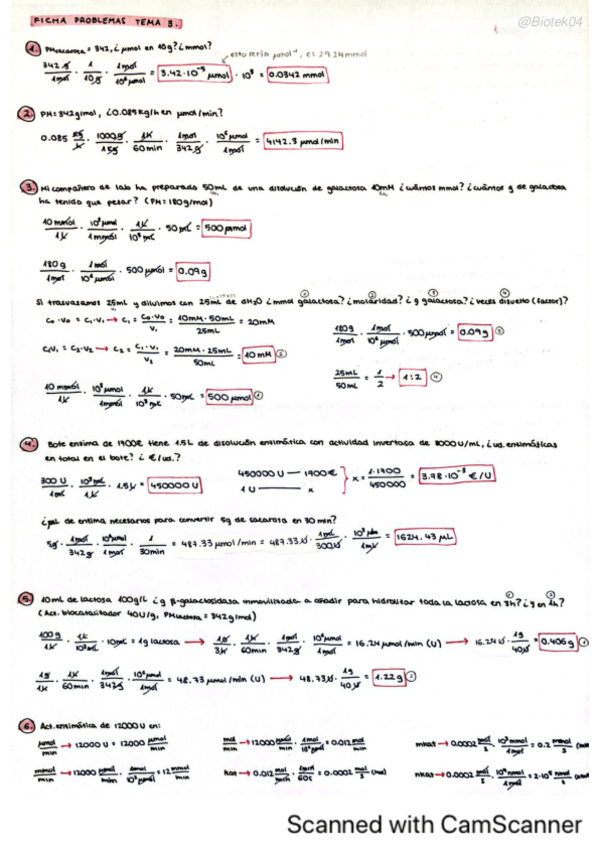 Miniatura del documento Ficha-Tema-3-corregidos.pdf