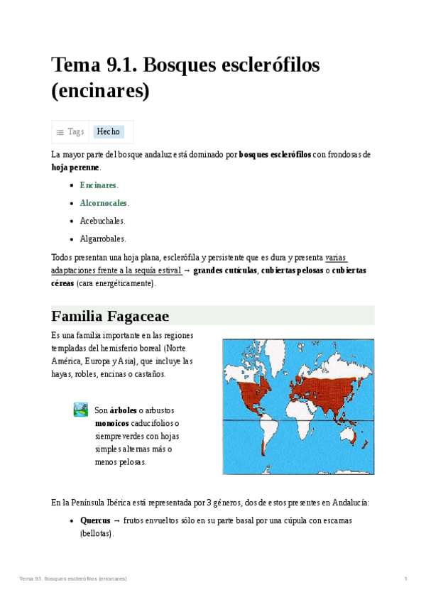 Miniatura del documento Tema 9.1. Bosques esclerófilos (encinares).pdf