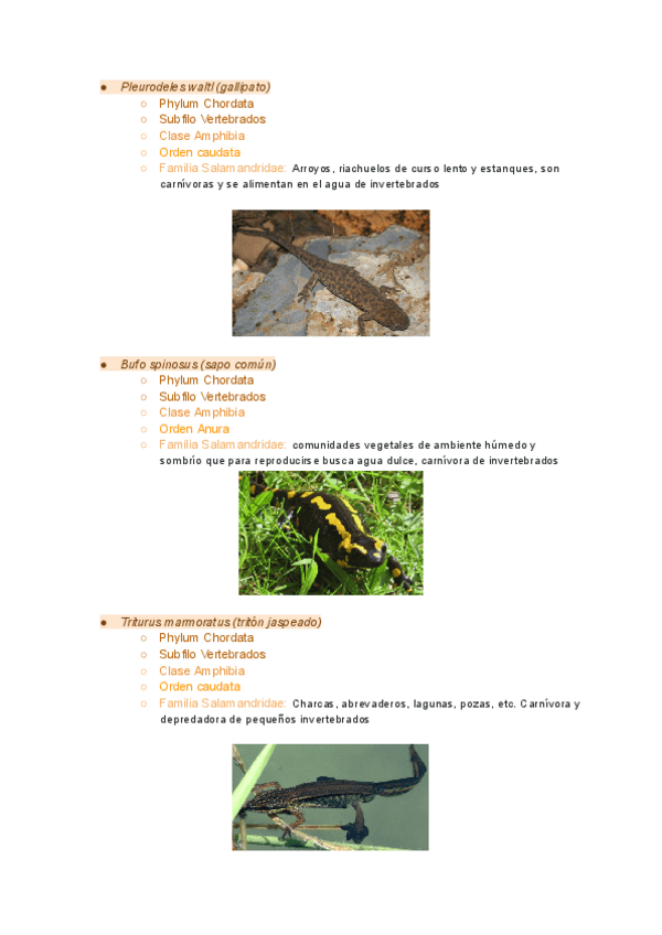 Miniatura del documento visu-4.pdf