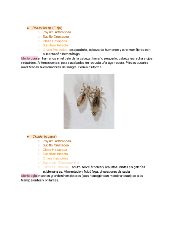 Miniatura del documento visu-2.2.pdf