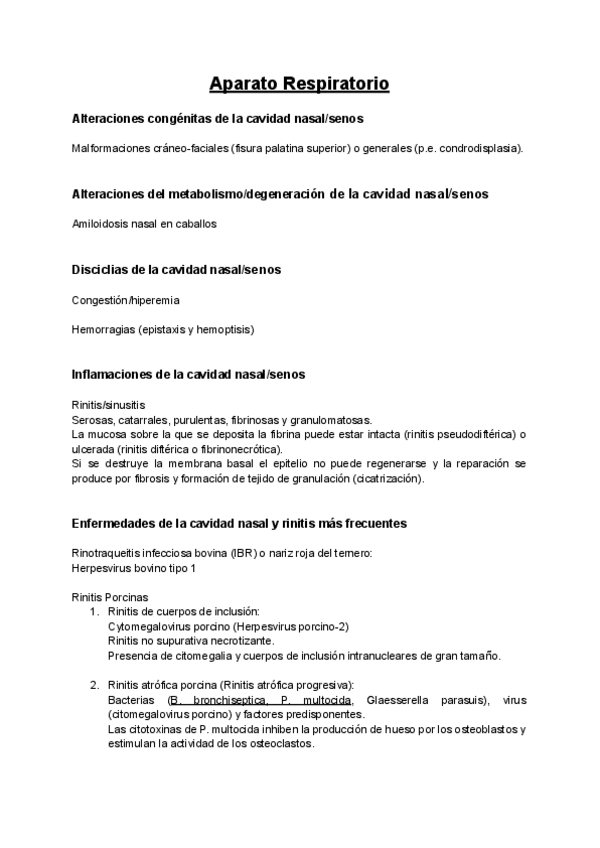 Miniatura del documento APE-Aparato-Pulmonar.pdf