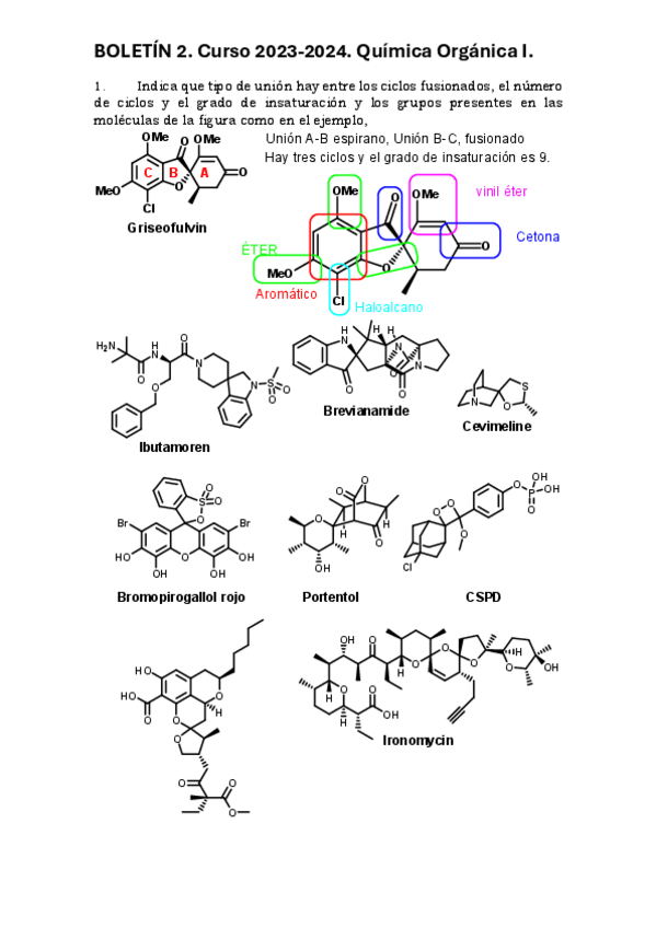 Miniatura del documento boletin-3.pdf