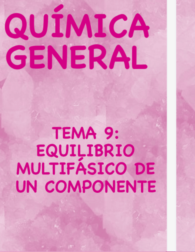 Miniatura del documento 9.-EQUILIBRIO-MULTIFASICO-DE-UN-COMPONENTE.pdf