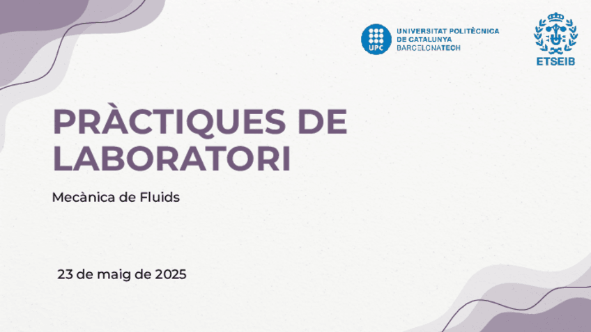 Miniatura del documento PRACTIQUES DE LABORATORI MF.pdf