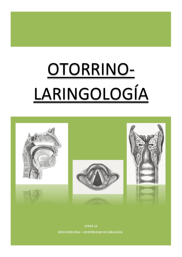 Miniatura del documento APUNTES-OTORRINO.pdf