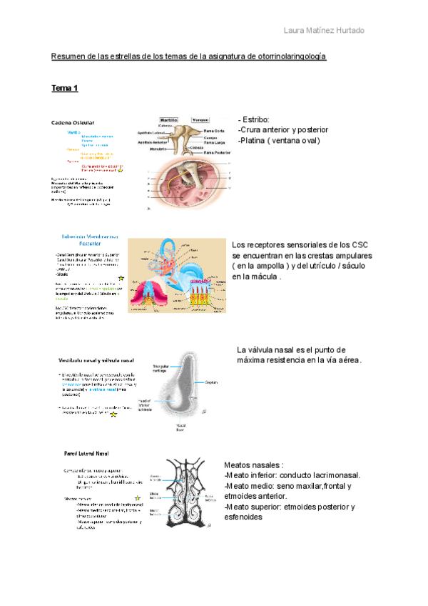 Miniatura del documento Examen-otorrino-estrellas-mas-casos.pdf