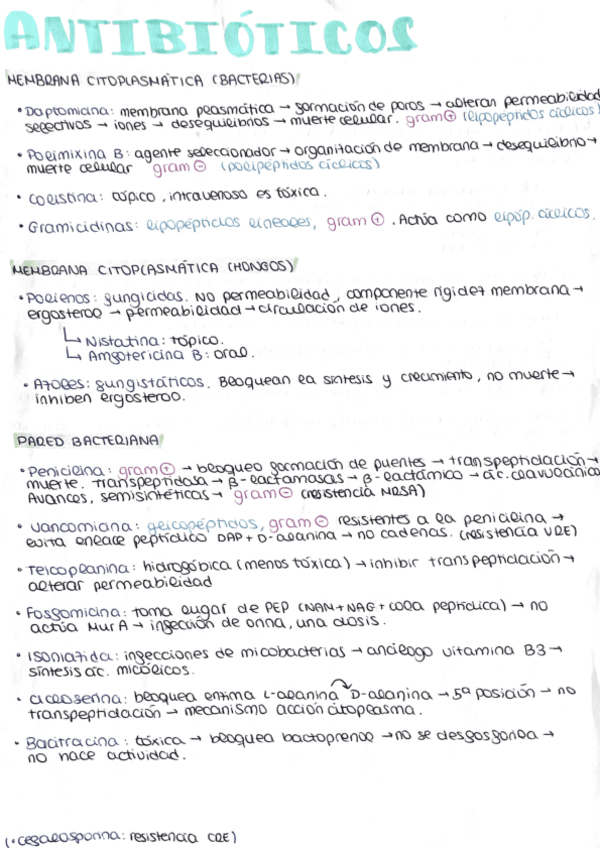 Miniatura del documento TODOS-los-MEDICAMENTOS-para-el-final.pdf