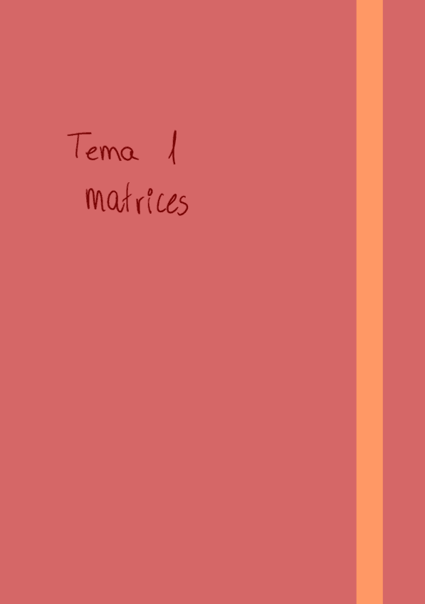 Miniatura del documento Resumen-T1.pdf